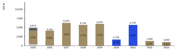 Bar chart showing the loan maturity profile December 31 2024.